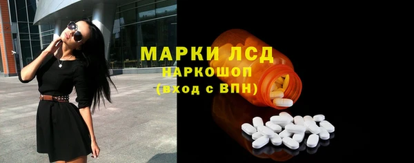 PSILOCYBIN Белокуриха